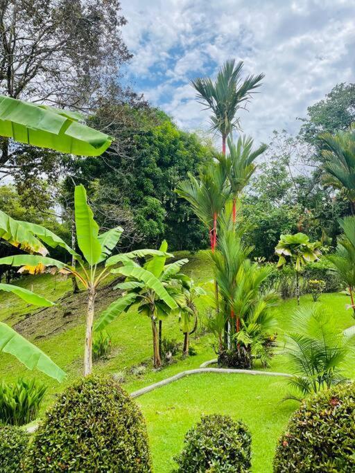 Suenos De Amor! Hermoso Y Acogedor Lugar كيبوس المظهر الخارجي الصورة